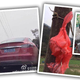 Image for article titled Charging A Tesla In Rural China The Dangerous, Illegal Way